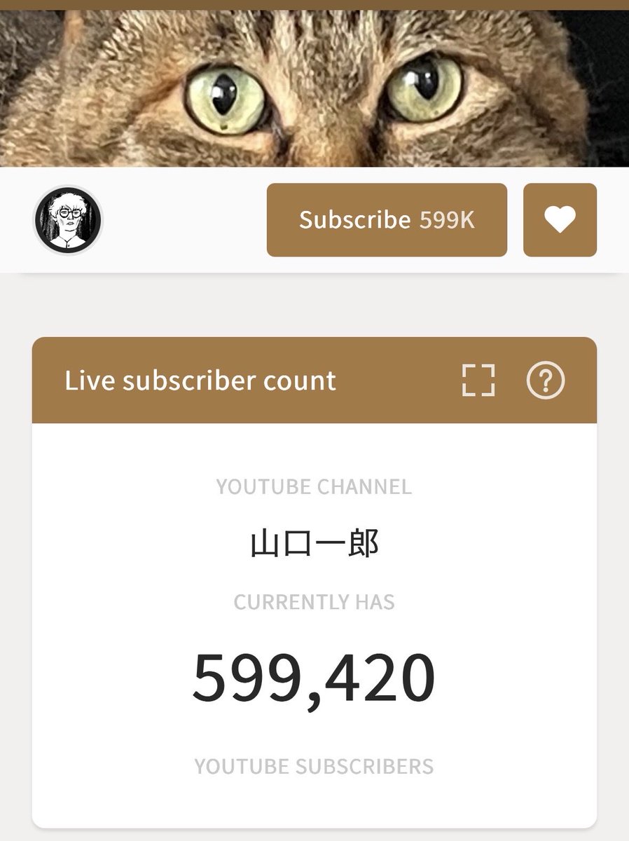 mii.aya(:みーあや tweet media