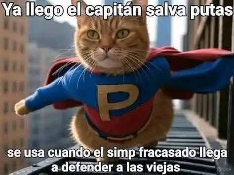 Héctor II tweet media