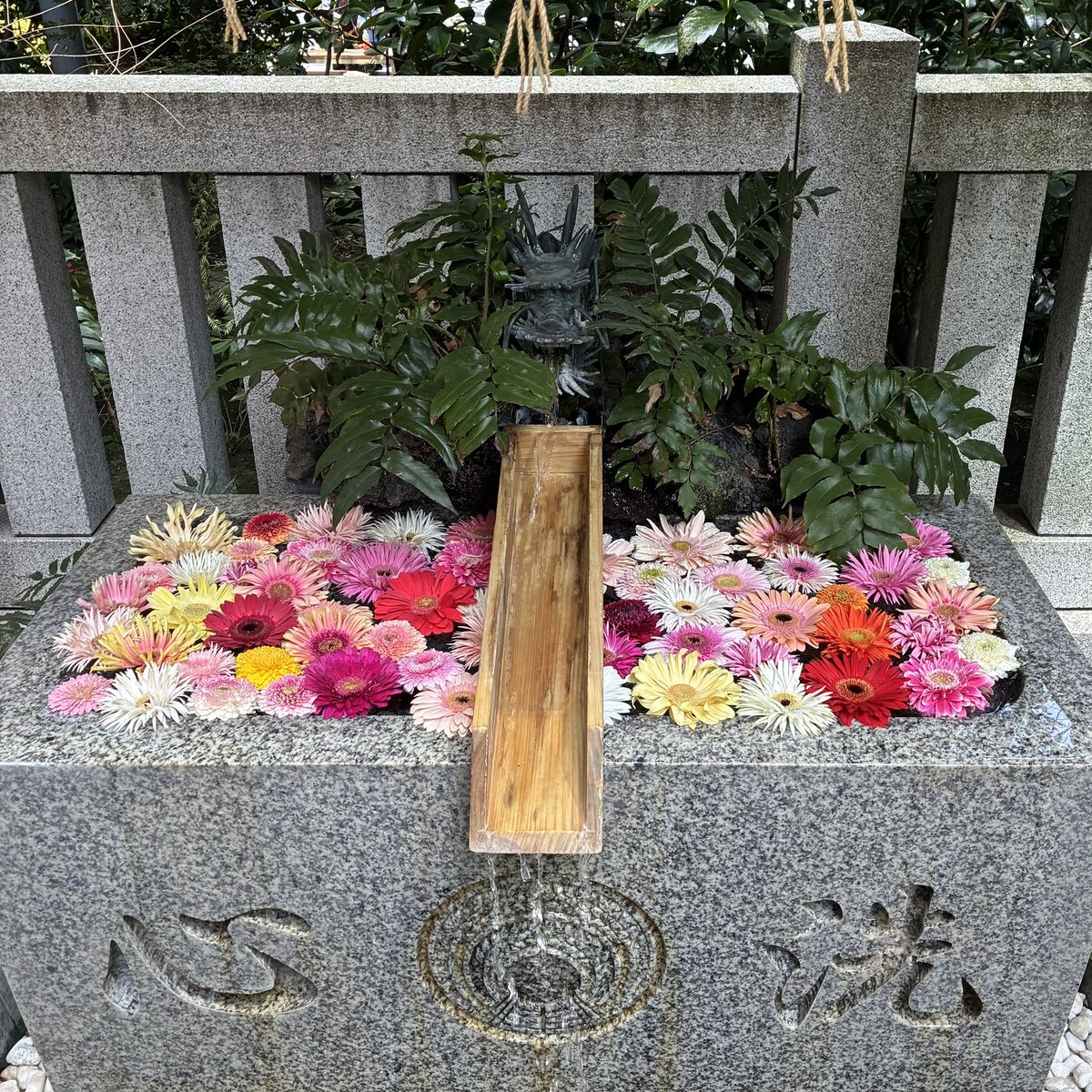 ふかふか愛莉 tweet media