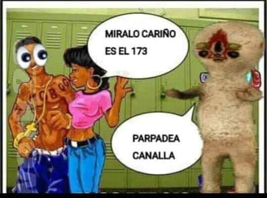 Placeholder tweet media