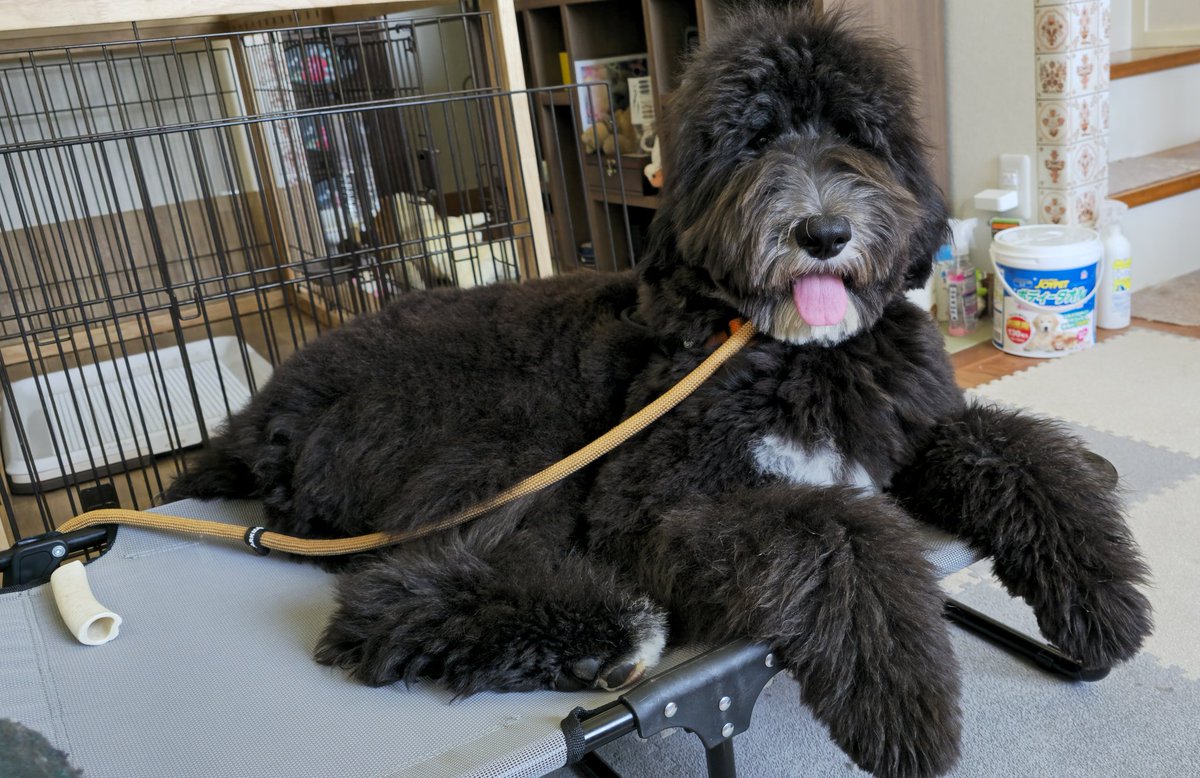 きのこのこのこ₍₍₍(ง🎃)ว⁾⁾⁾ tweet media