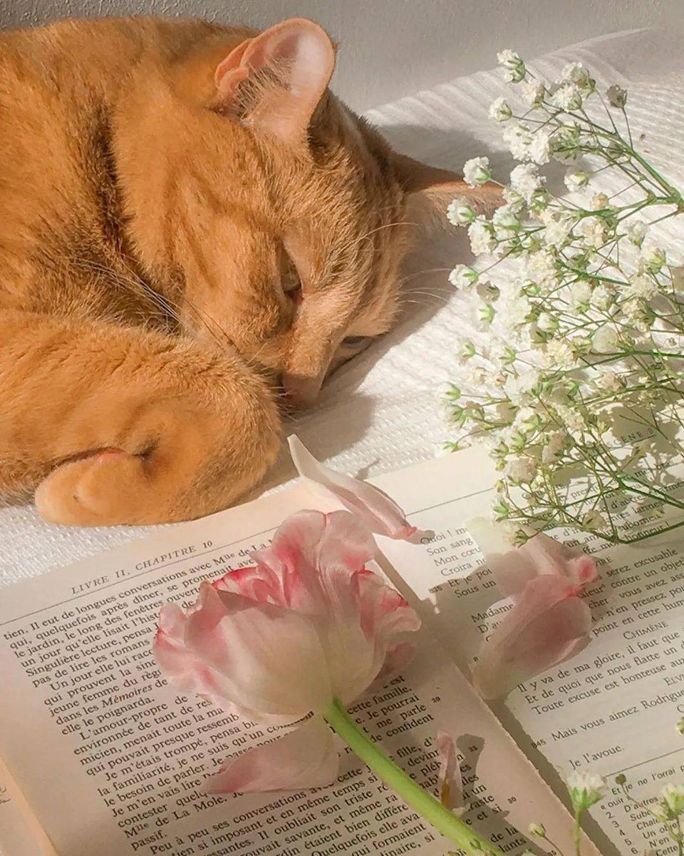 Patricia Woolridge tweet media