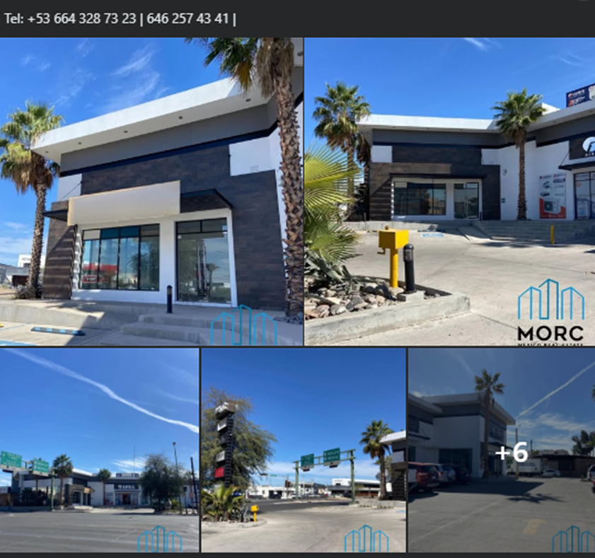 Gilberto Reyna tweet media