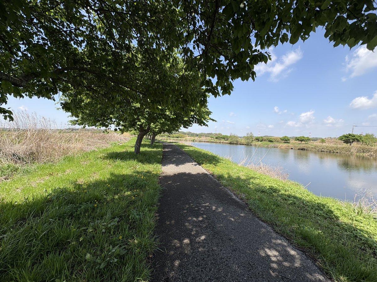 マチューッピ tweet media