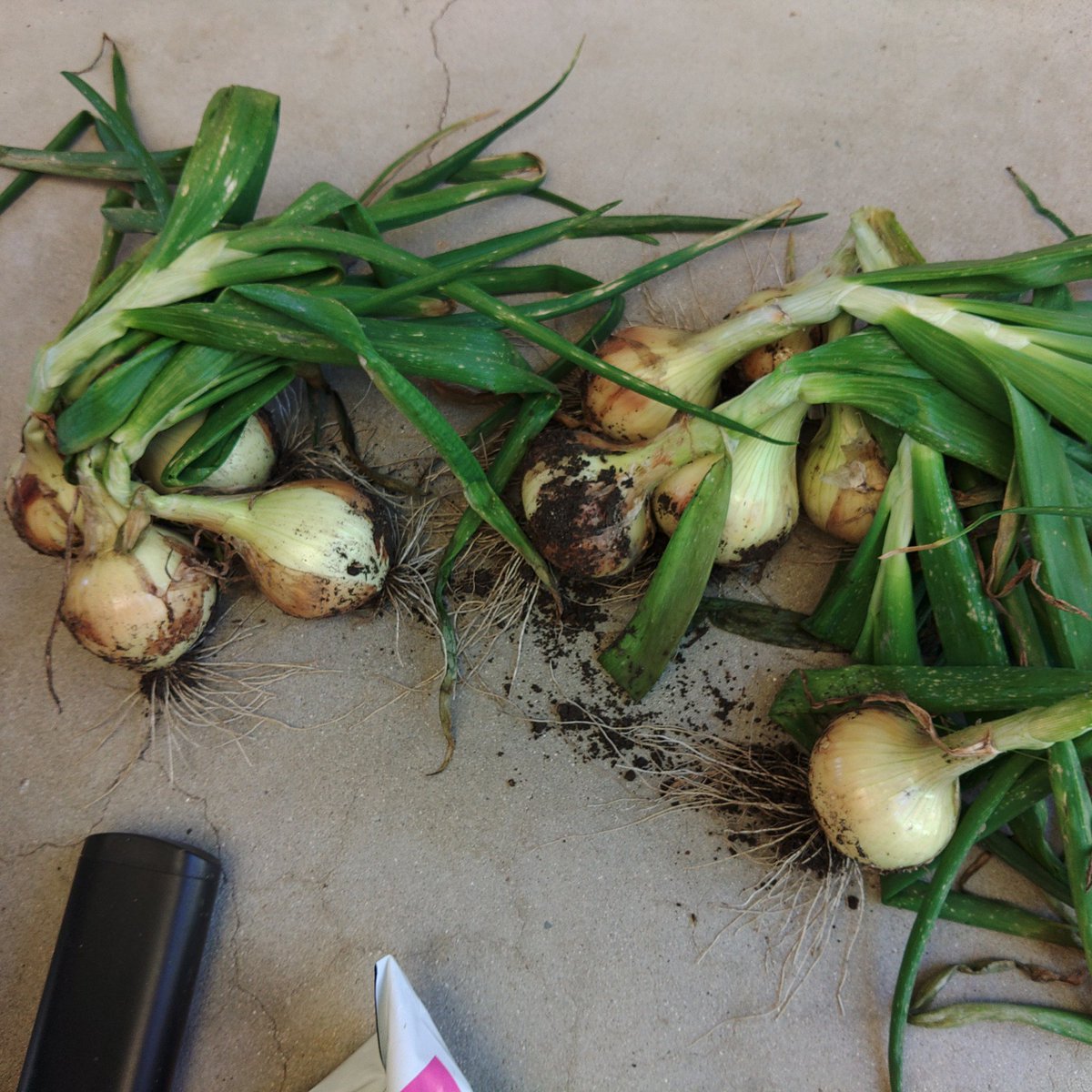 熊谷 貴文｜熊谷行政書士法務事務所 tweet media