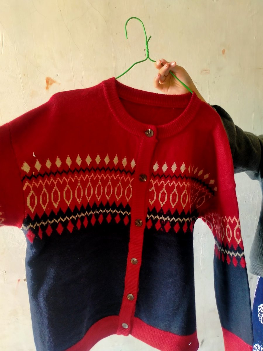 🦖🦖 tweet media