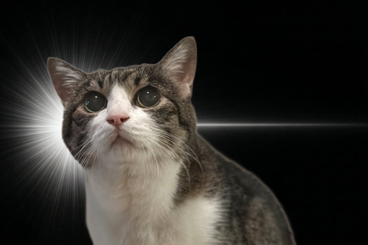 菊千代とmum tweet media