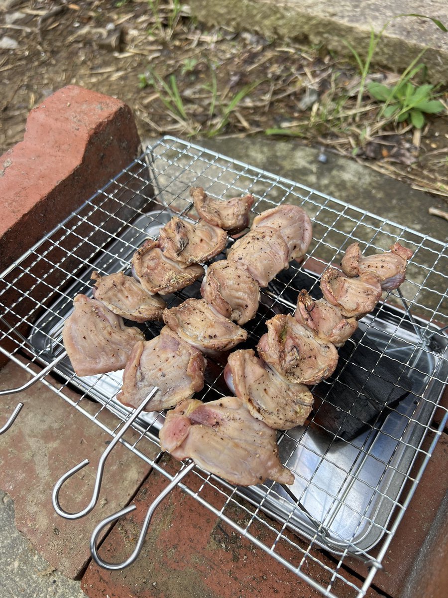 かツお tweet media