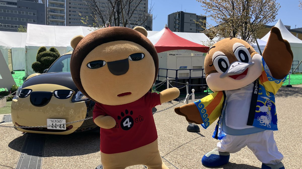 こんにち若ごぼう♪ 今日はもずとものわなかさん協賛の #たこやき