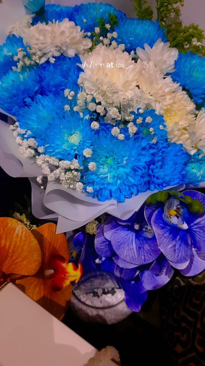 سحاب ☘️🌿🇸🇦 tweet media