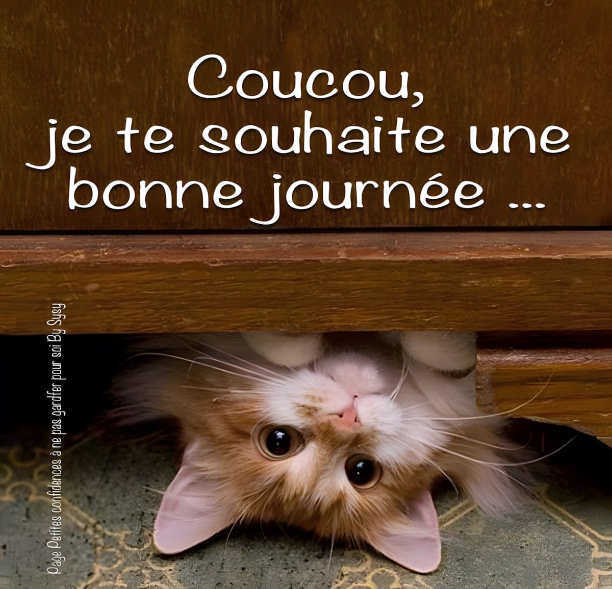 DVanOnacker's tweet image. Douce journée à vous, à nous, à toi, à moi… 
#citation  #coucou
