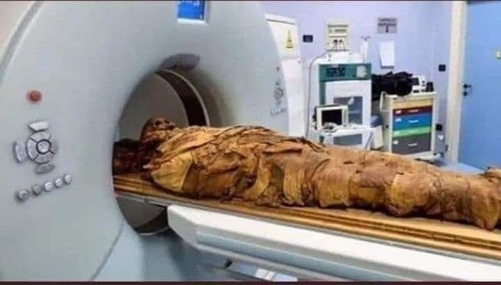 Dr Monika Singh tweet media