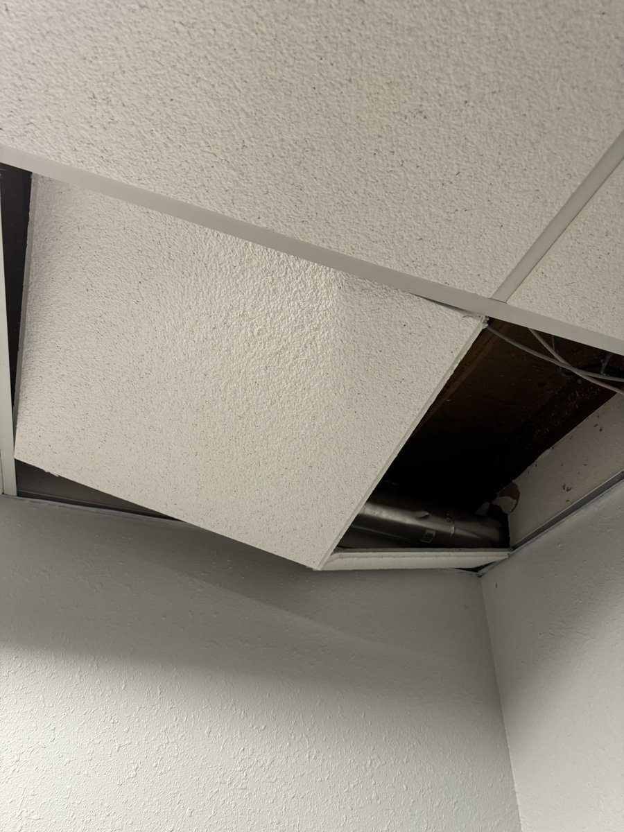 alice & tony baloney tweet media