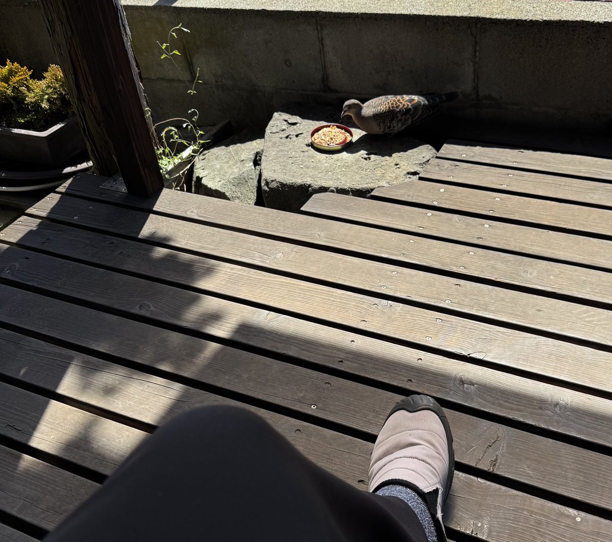 つー坊 tweet media