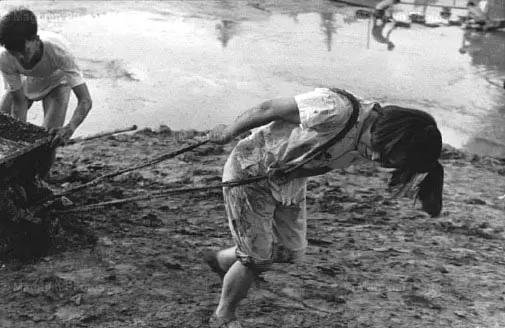 YiFeng Su tweet media