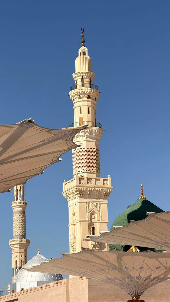 ЅᎯℛظہیرⅅᎯℛ tweet media