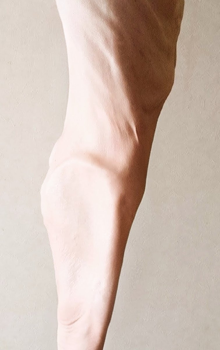 🇯🇵東雲長閑 tweet media