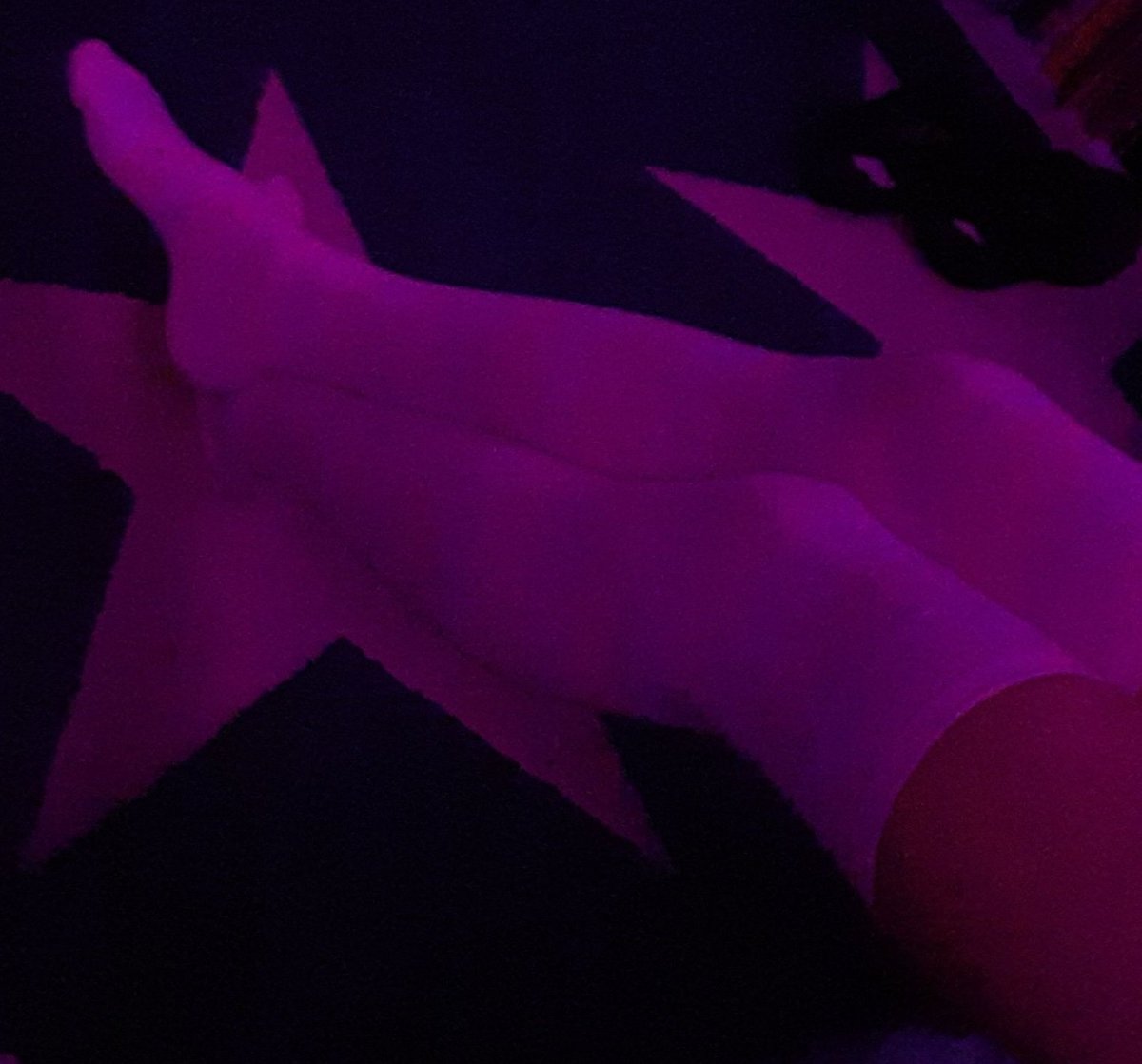 🇨🇭 Femboy Volt 🇨🇭 tweet media