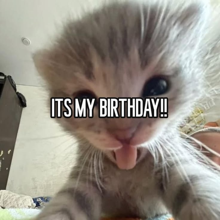 🍪 | cley ֶָ֢²⁸ tweet media