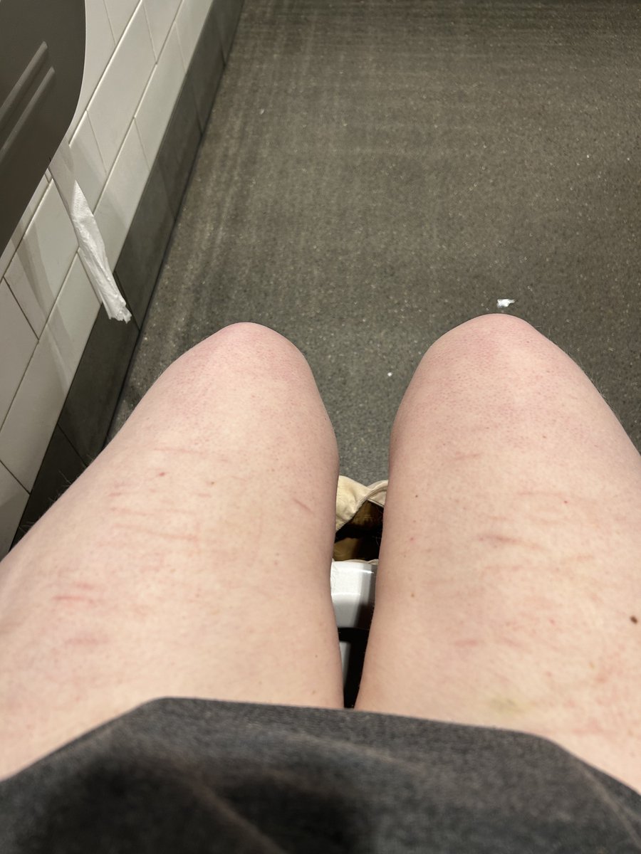 kitty kat tweet media