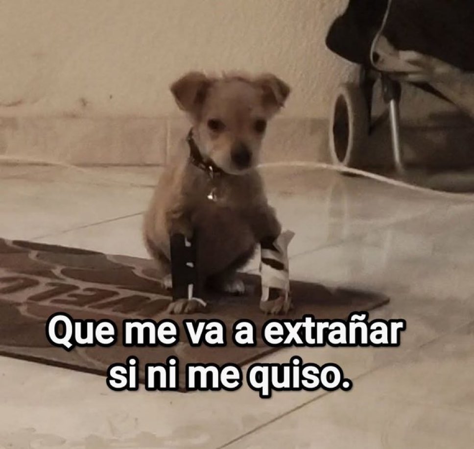 🌙 mini textos (@soyminitextos) on Twitter photo 