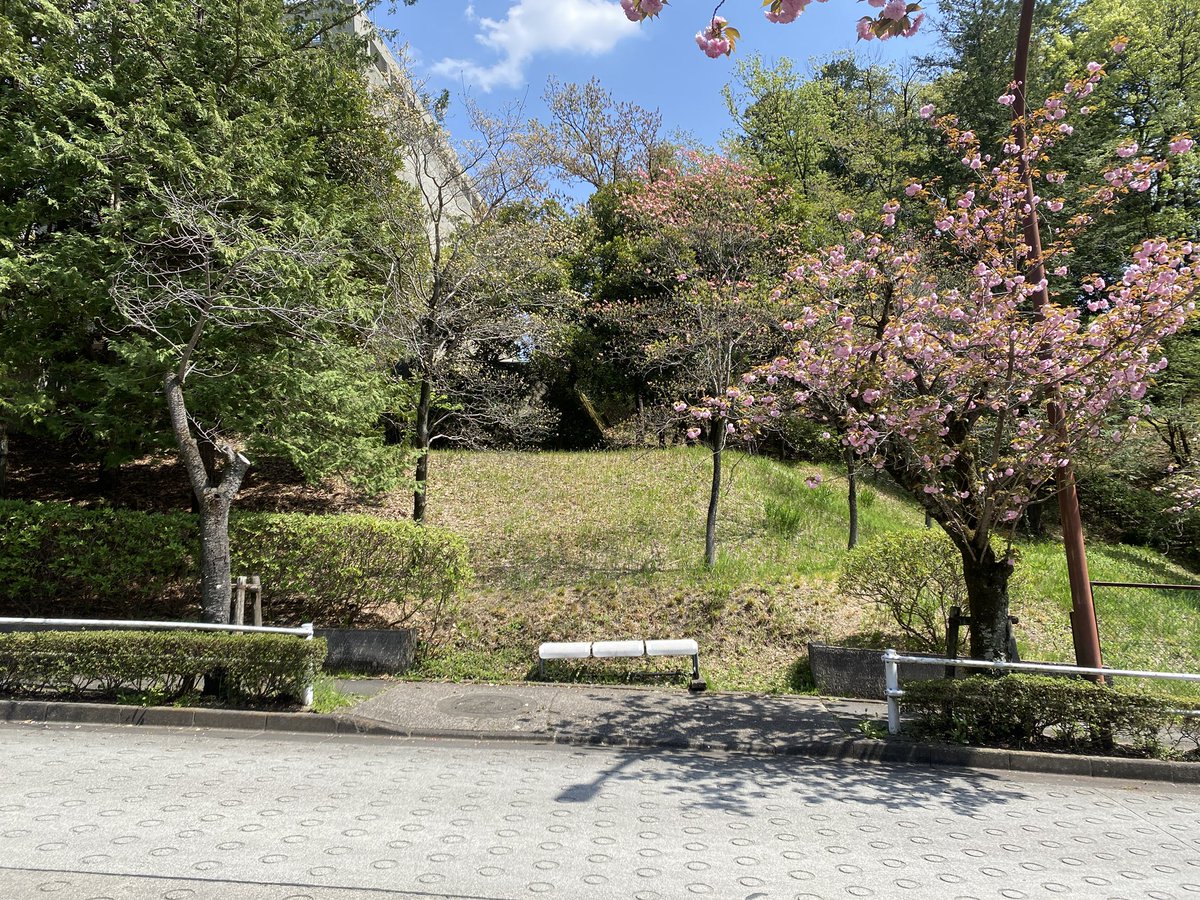 ごっさむ tweet media