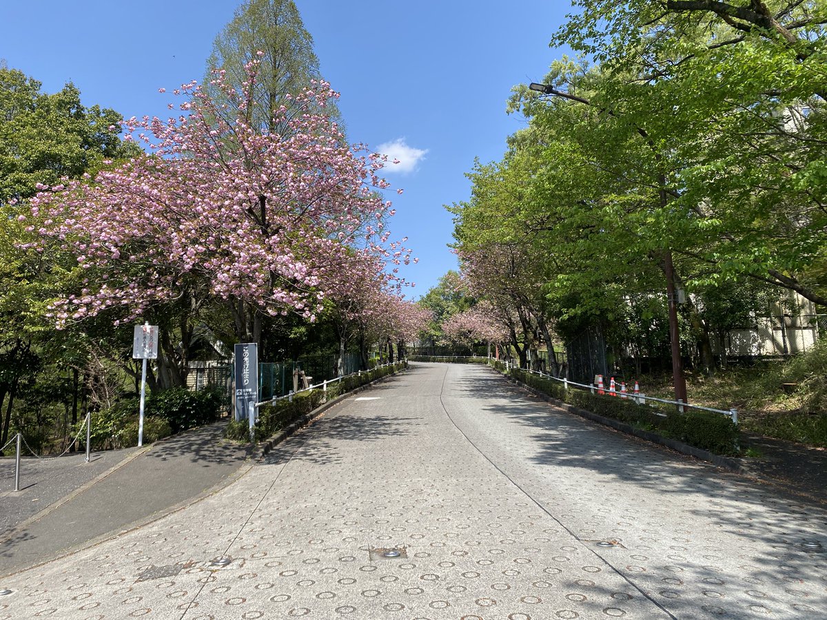 ごっさむ tweet media