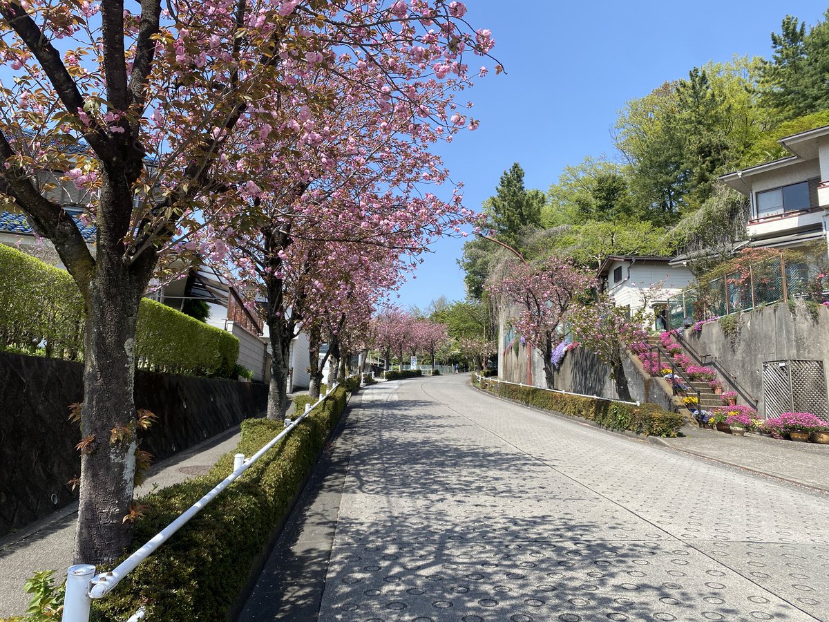 ごっさむ tweet media