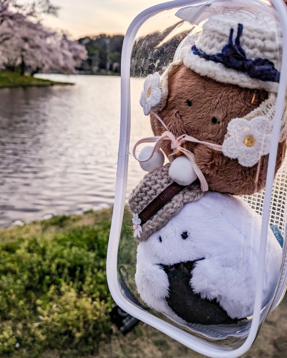 深月 碧乃 tweet media