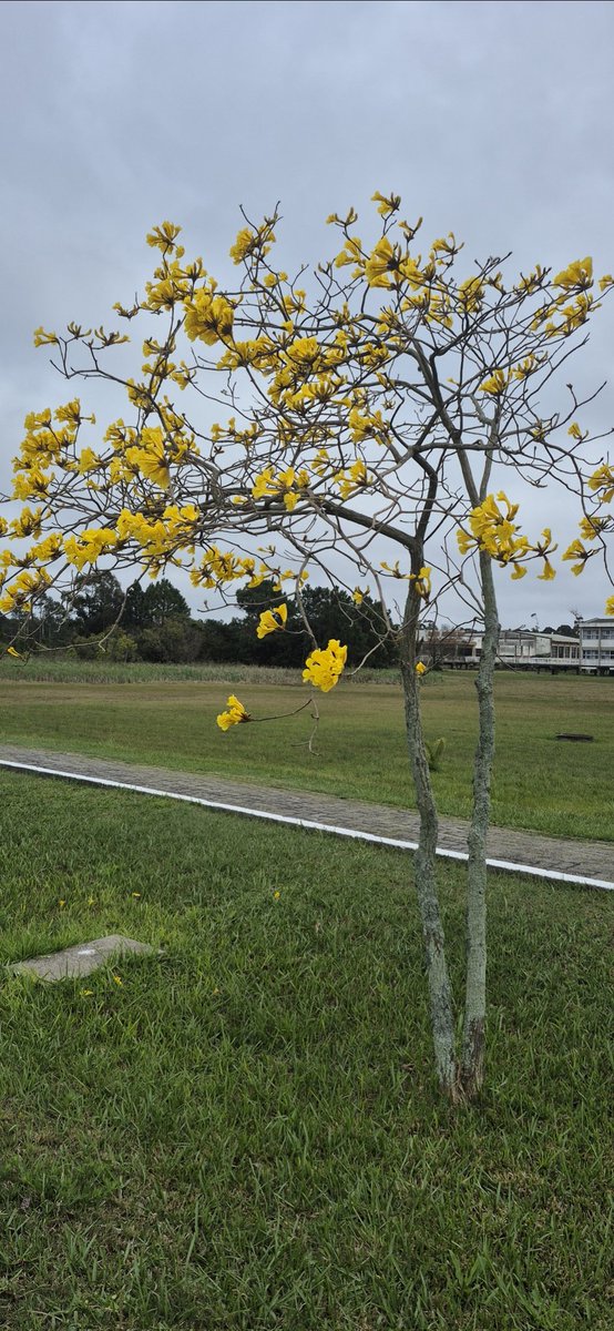 🍒 𝒶𝓃𝒶𝓈𝓉𝒶𝓈𝒾𝒶 |안나 🍒 tweet media