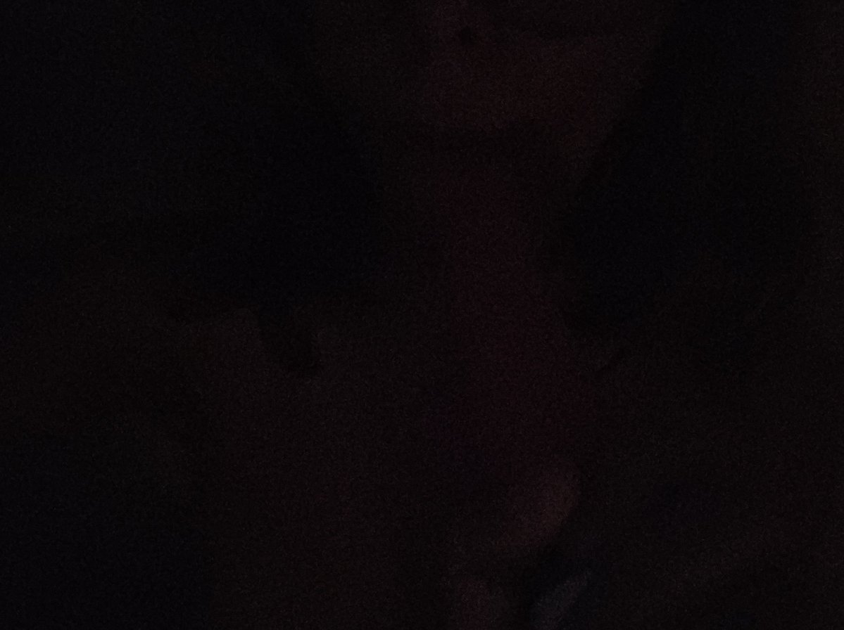 luna 🌙 tweet media