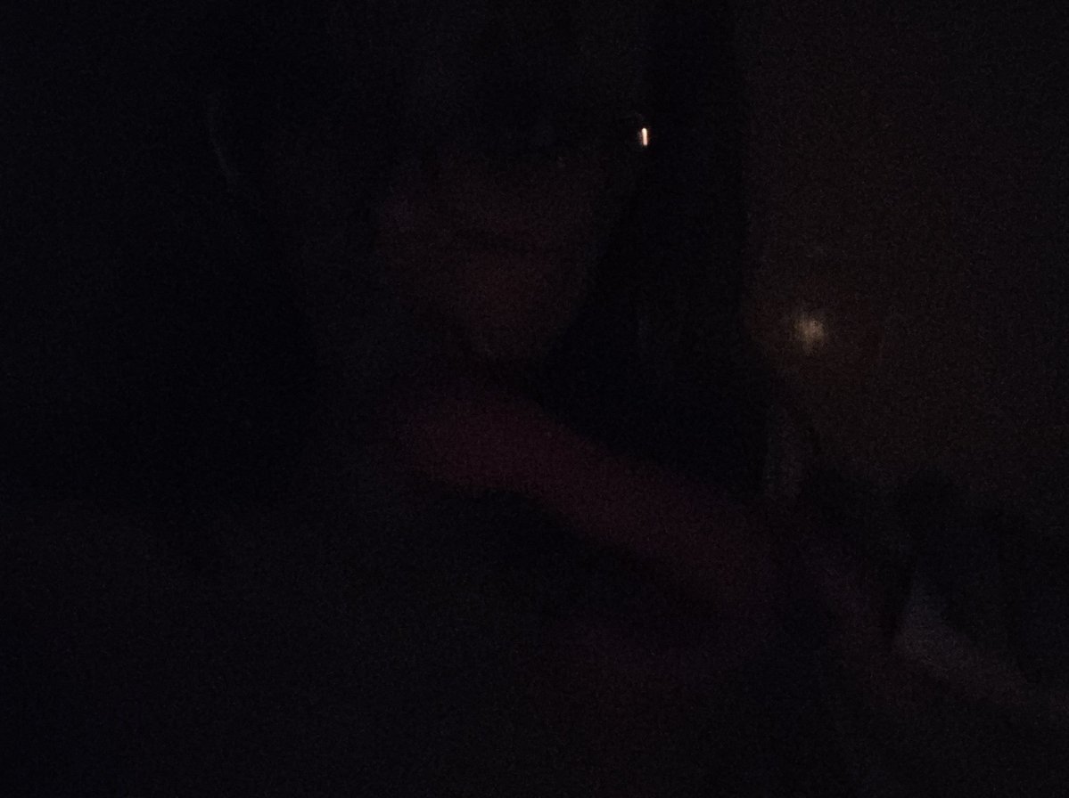 luna 🌙 tweet media