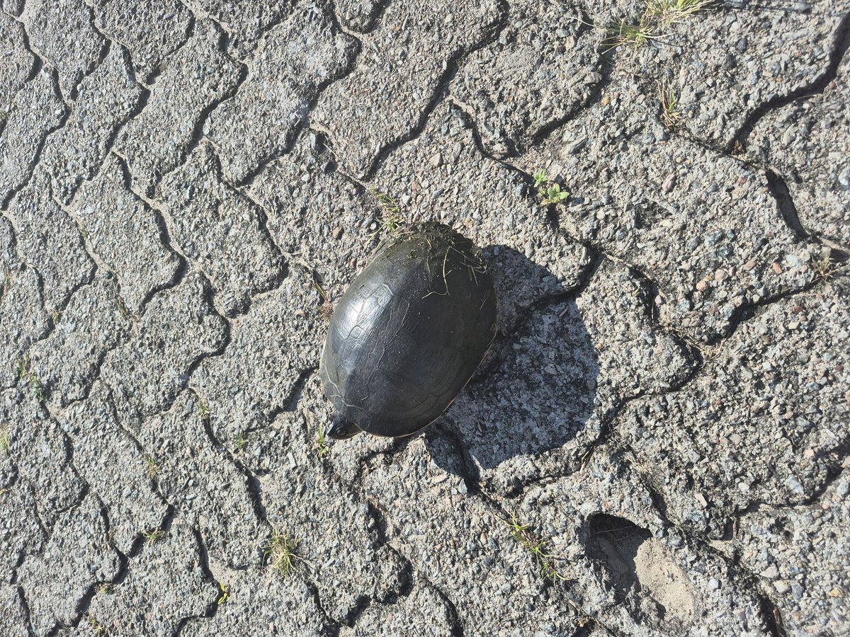 🍒 𝒶𝓃𝒶𝓈𝓉𝒶𝓈𝒾𝒶 |안나 🍒 tweet media