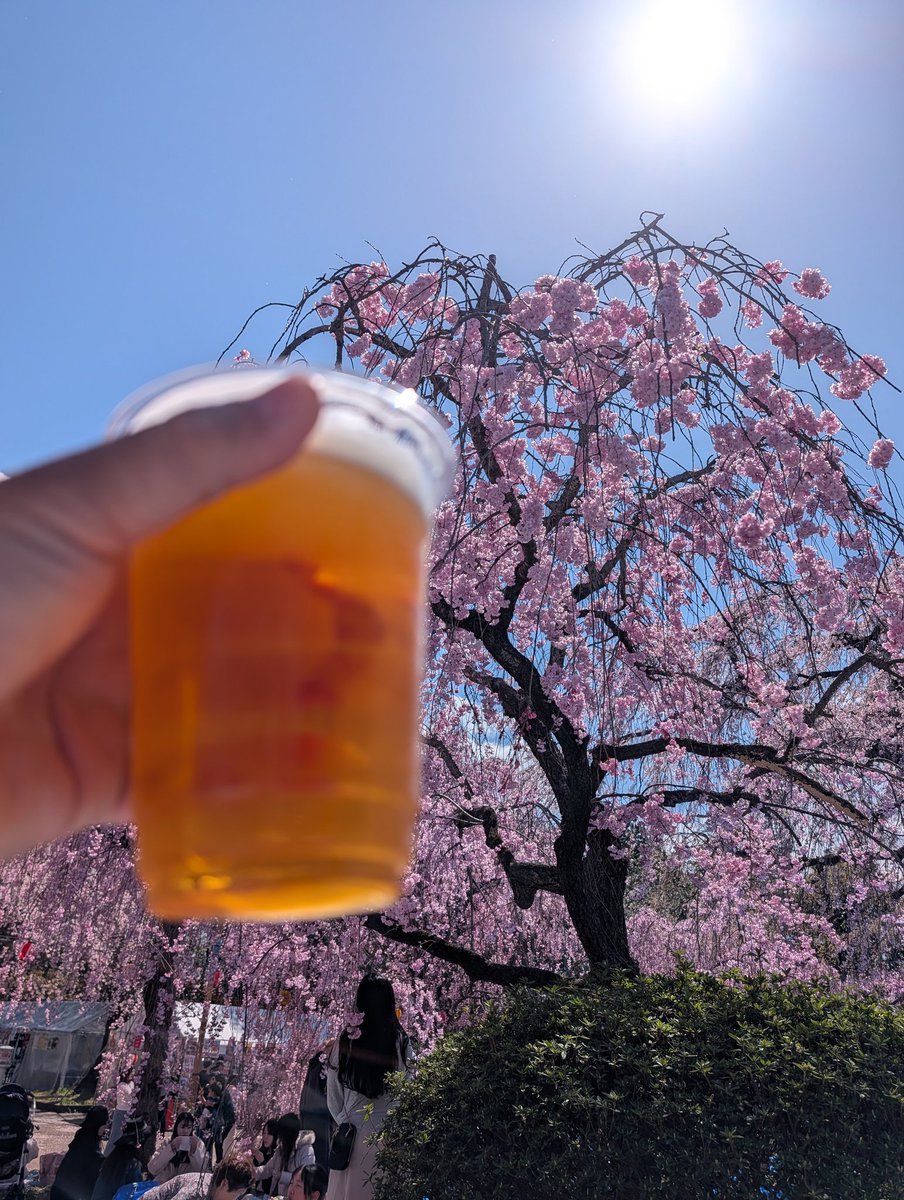 はたけん tweet media