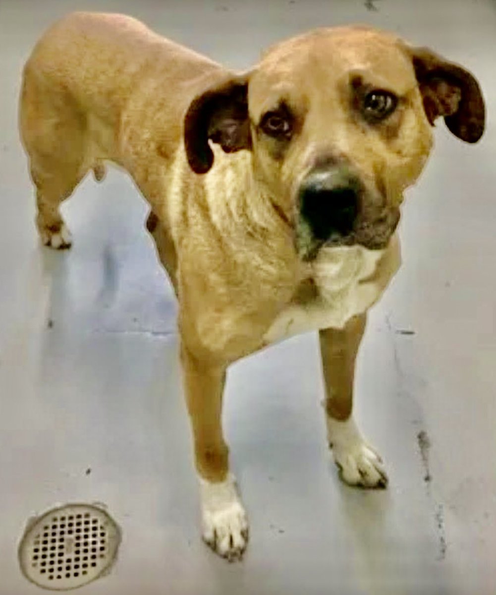 Cheryl Ramirez tweet media