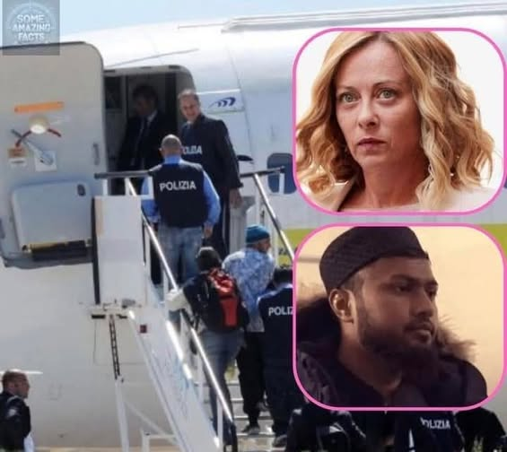 DENİZ_TOPRAK2 tweet media