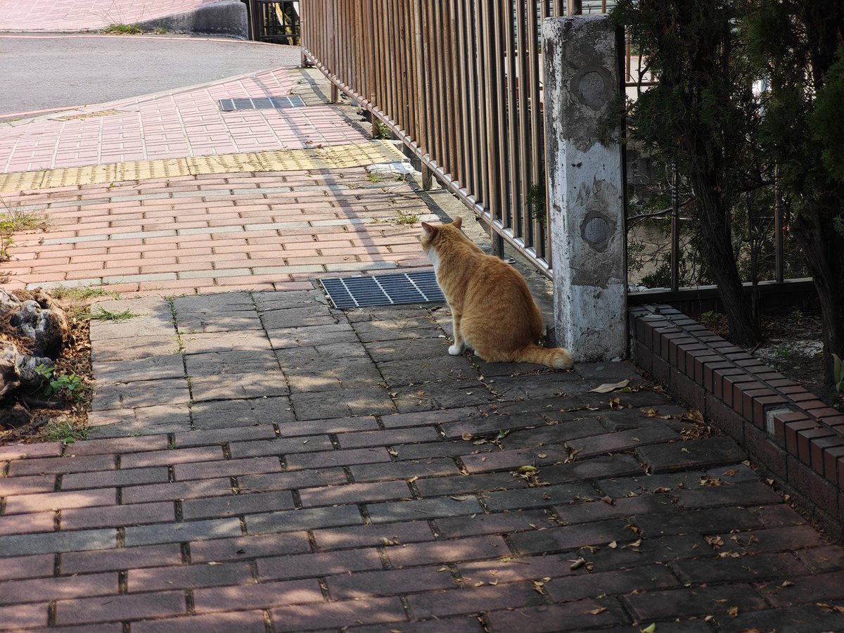 台灣李家宝🇲🇳 tweet media