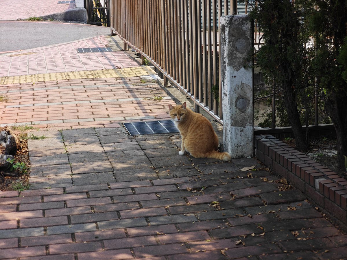 台灣李家宝🇲🇳 tweet media