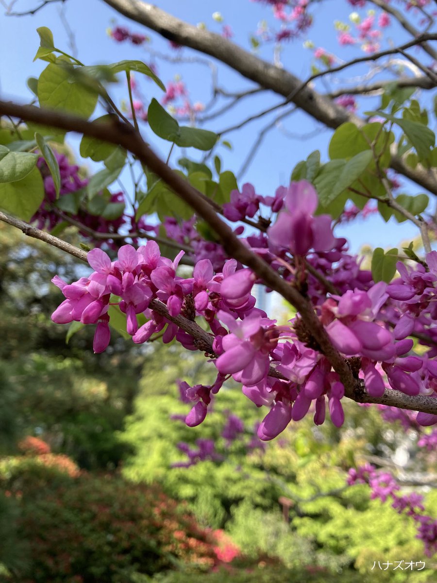 五島美術館 tweet media