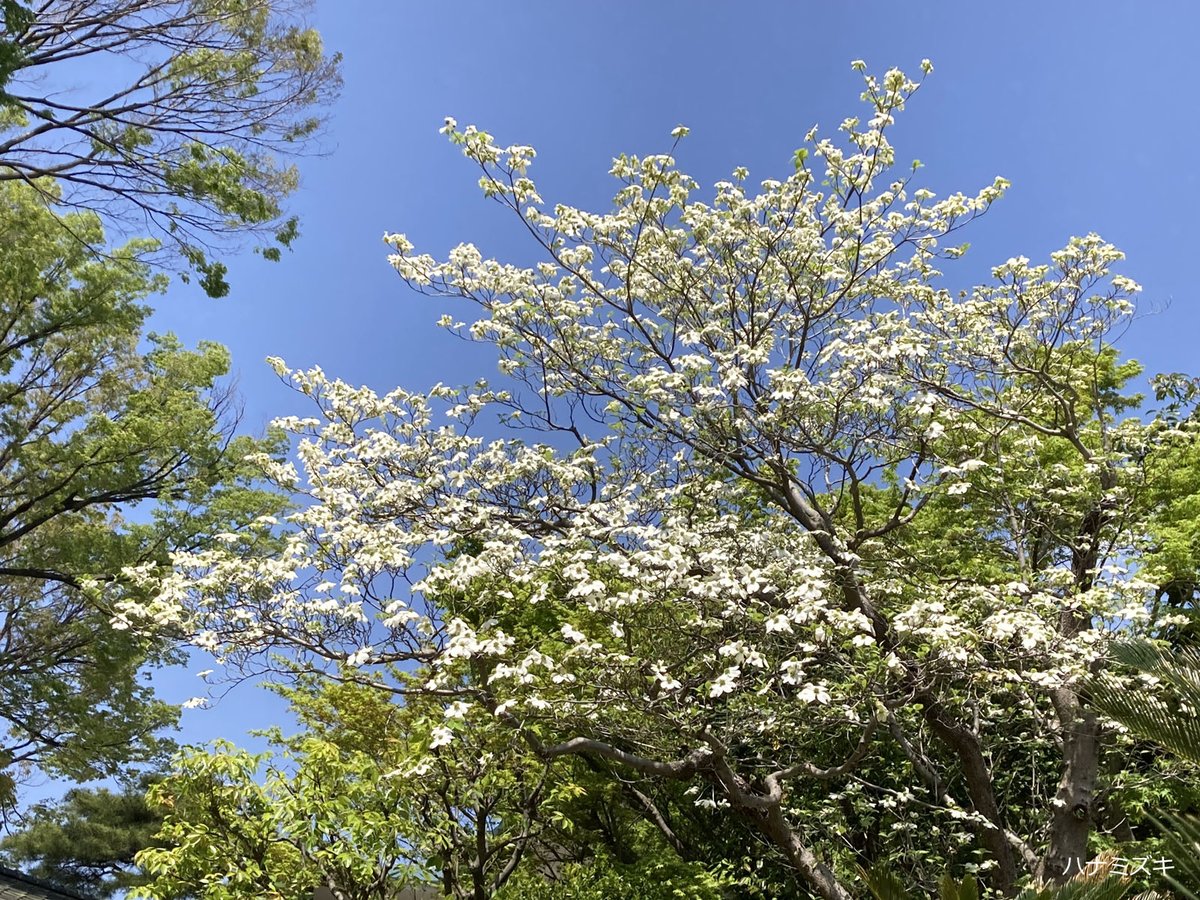 五島美術館 tweet media