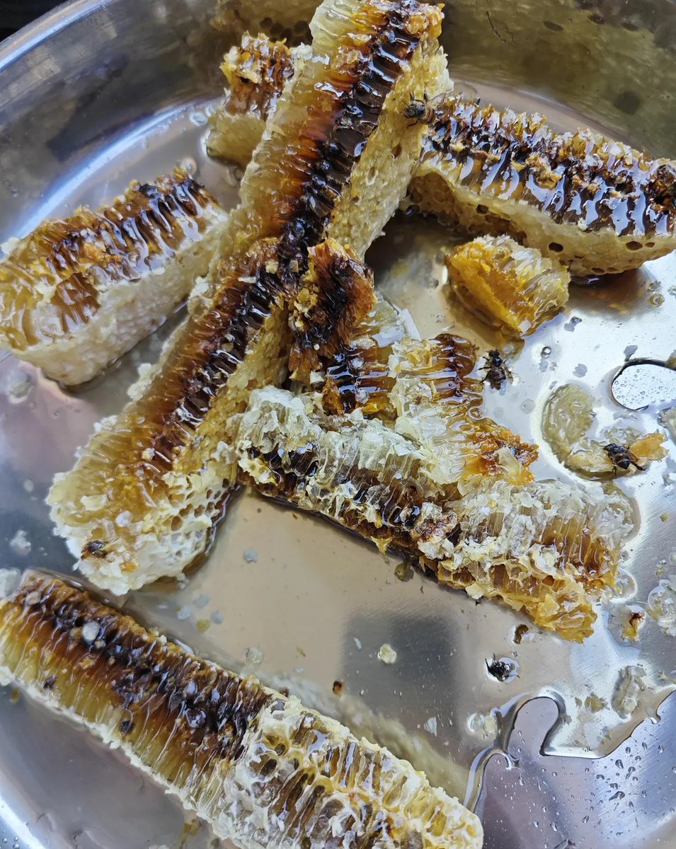 ヒロコジ tweet media