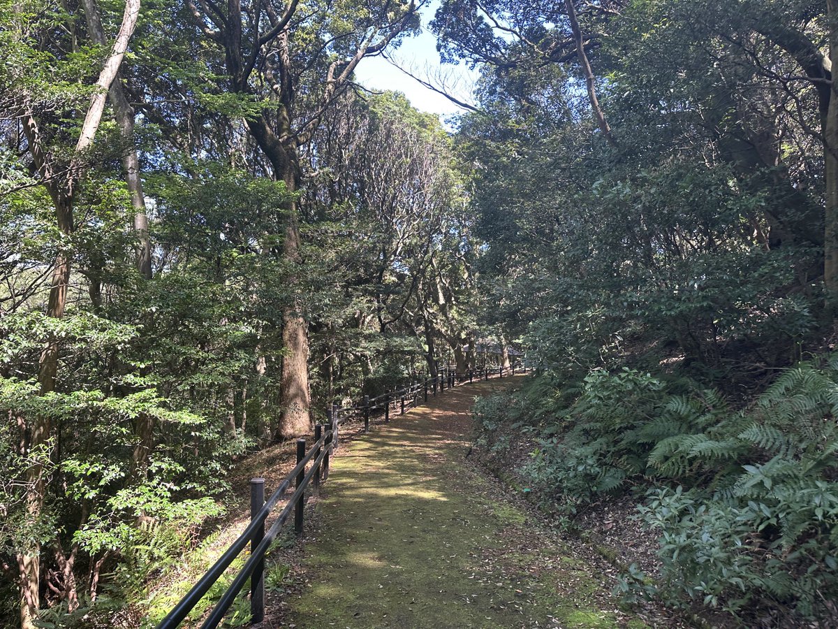 あさちゃん　Vtuber準備中 tweet media