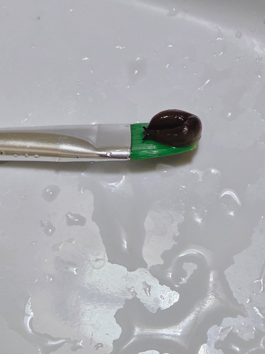 테풀잎 tweet media