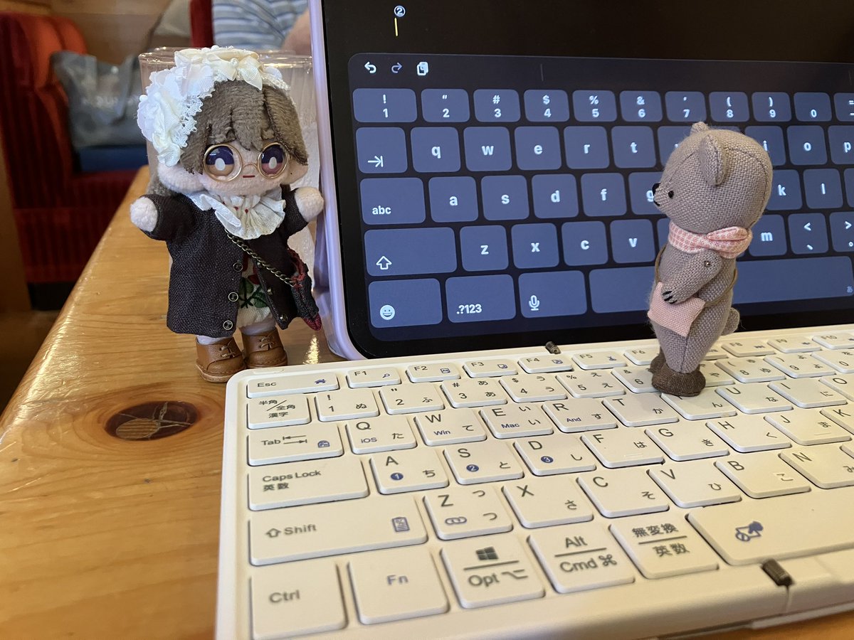 あんねこ (@anneko_anko) / Posts / X