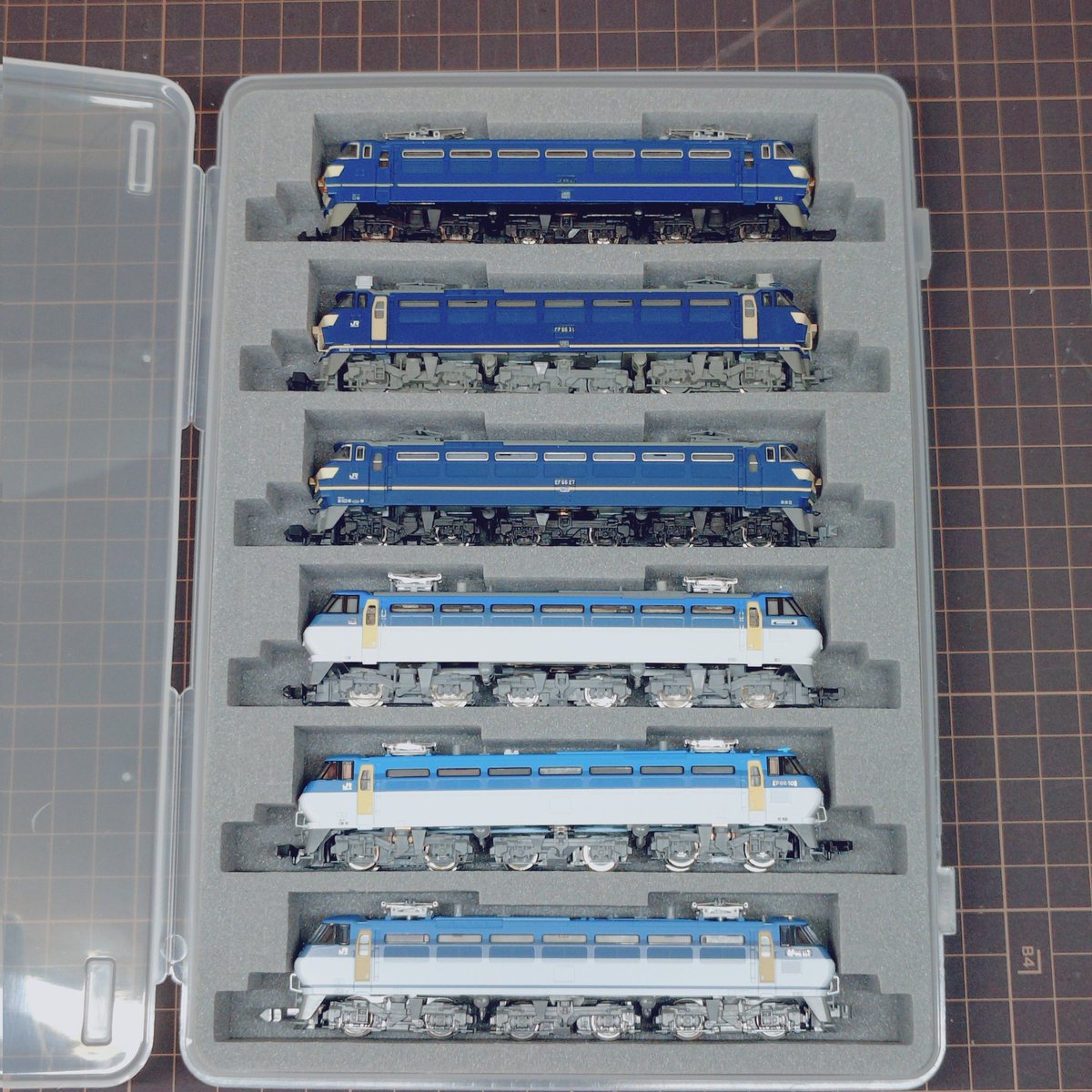 エヌシェル(Nshell) tweet media