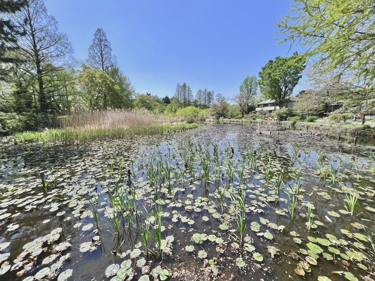 Kenichi ♨ Yumura tweet media