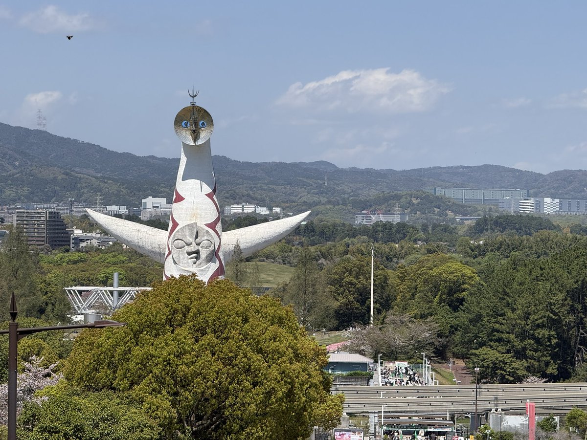 ななつ桜🌸 tweet media