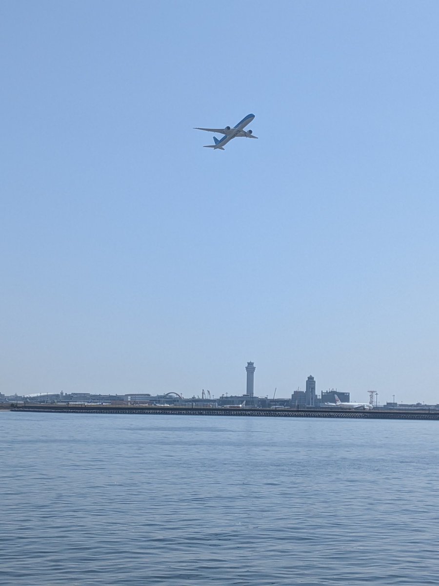 SimYasu99's tweet photo. 美味しい海鮮食べてから公園でまったり飛行機見てる。それにしても暑いね〜
#物欲会 https://t.co/zIRiANXSKt