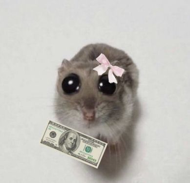 Bia ビア tweet media