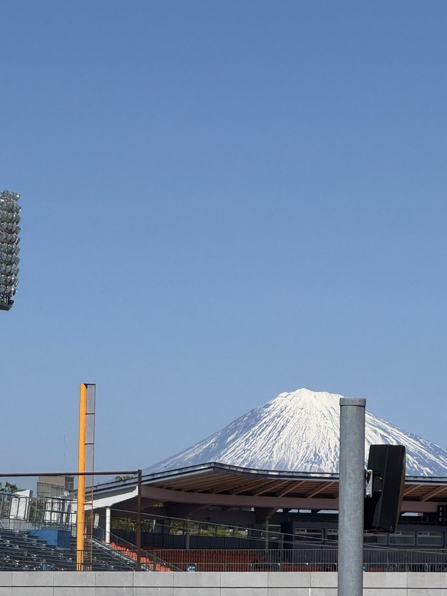 マシューまさるバロン tweet media